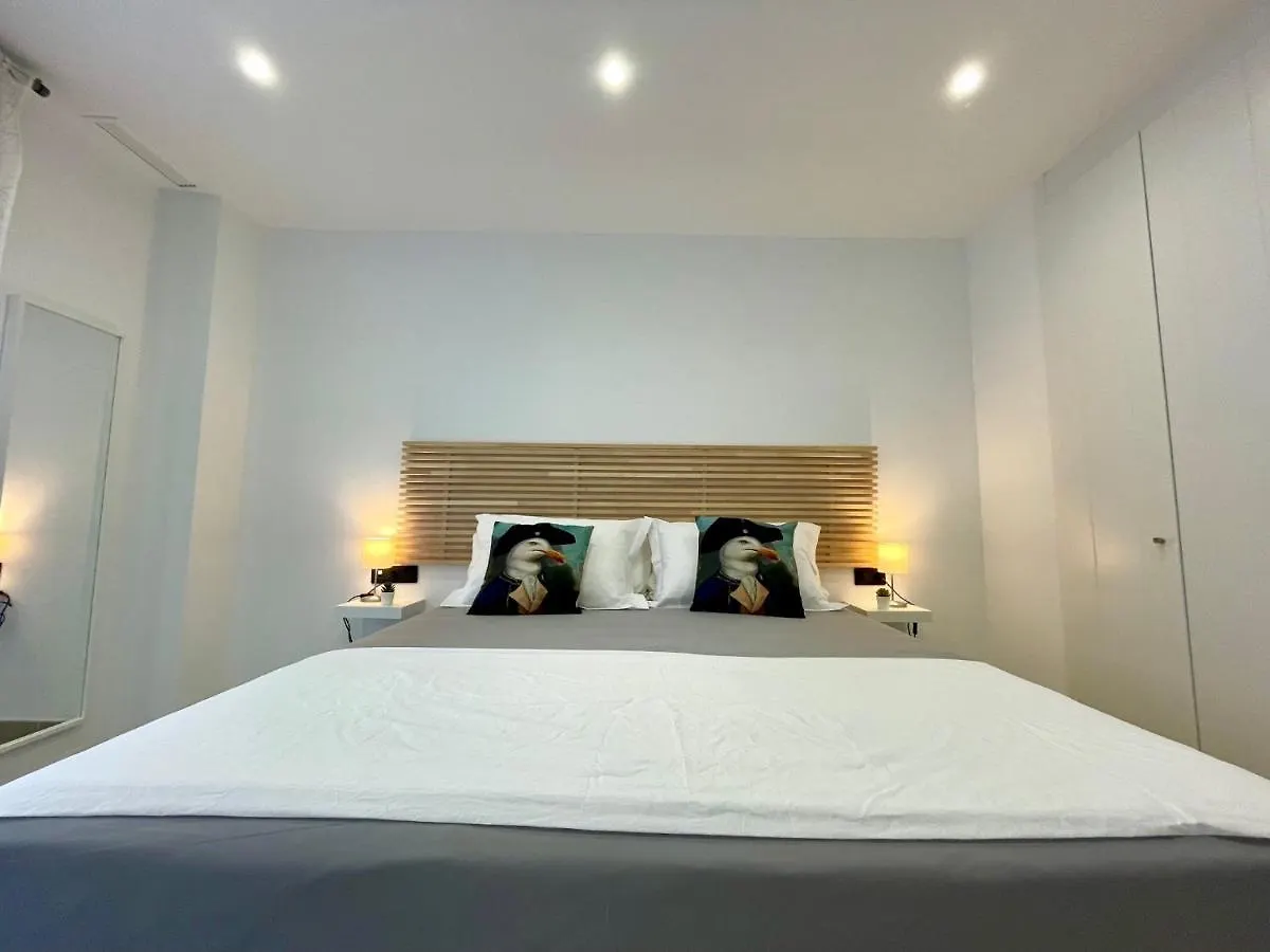 קדיז Gatu Premium Alma Marinera, Preferente Mayores De 25 Anos Y Familias